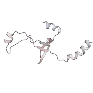 43327_8vkq_AB_v1-0
CW Flagellar Switch Complex - FliF, FliG, FliM, and FliN forming the C-ring from Salmonella