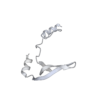 43327_8vkq_AC_v1-0
CW Flagellar Switch Complex - FliF, FliG, FliM, and FliN forming the C-ring from Salmonella