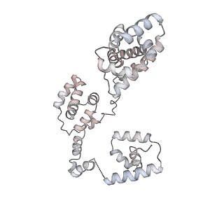 43327_8vkq_AD_v1-0
CW Flagellar Switch Complex - FliF, FliG, FliM, and FliN forming the C-ring from Salmonella