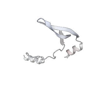 43327_8vkq_AF_v1-0
CW Flagellar Switch Complex - FliF, FliG, FliM, and FliN forming the C-ring from Salmonella