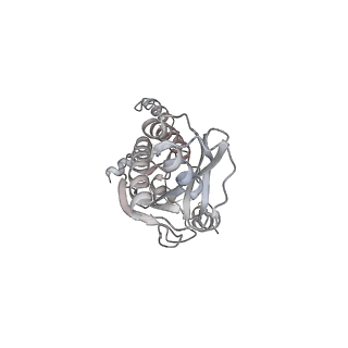 43327_8vkq_BA_v1-0
CW Flagellar Switch Complex - FliF, FliG, FliM, and FliN forming the C-ring from Salmonella