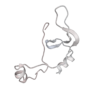 43327_8vkq_BB_v1-0
CW Flagellar Switch Complex - FliF, FliG, FliM, and FliN forming the C-ring from Salmonella