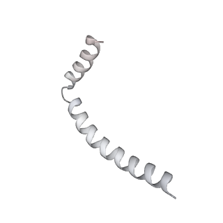 43327_8vkq_BC_v1-0
CW Flagellar Switch Complex - FliF, FliG, FliM, and FliN forming the C-ring from Salmonella