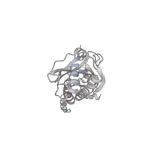 43327_8vkq_BD_v1-0
CW Flagellar Switch Complex - FliF, FliG, FliM, and FliN forming the C-ring from Salmonella