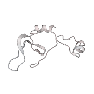 43327_8vkq_BE_v1-0
CW Flagellar Switch Complex - FliF, FliG, FliM, and FliN forming the C-ring from Salmonella