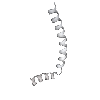 43327_8vkq_BF_v1-0
CW Flagellar Switch Complex - FliF, FliG, FliM, and FliN forming the C-ring from Salmonella