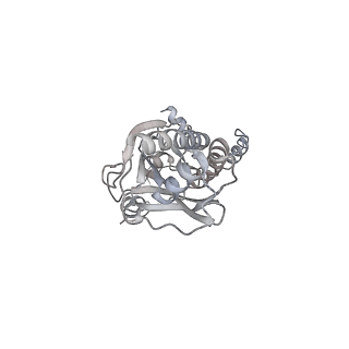 43327_8vkq_BG_v1-0
CW Flagellar Switch Complex - FliF, FliG, FliM, and FliN forming the C-ring from Salmonella