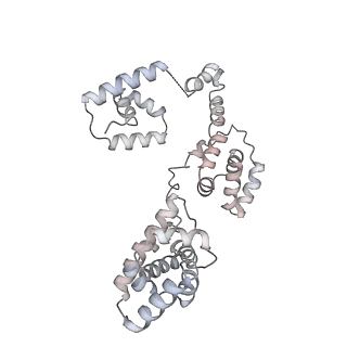 43327_8vkq_B_v1-0
CW Flagellar Switch Complex - FliF, FliG, FliM, and FliN forming the C-ring from Salmonella