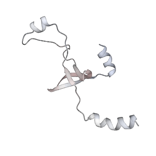 43327_8vkq_CA_v1-0
CW Flagellar Switch Complex - FliF, FliG, FliM, and FliN forming the C-ring from Salmonella