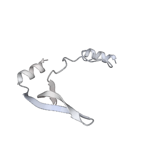 43327_8vkq_CB_v1-0
CW Flagellar Switch Complex - FliF, FliG, FliM, and FliN forming the C-ring from Salmonella