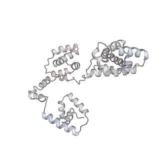 43327_8vkq_CC_v1-0
CW Flagellar Switch Complex - FliF, FliG, FliM, and FliN forming the C-ring from Salmonella