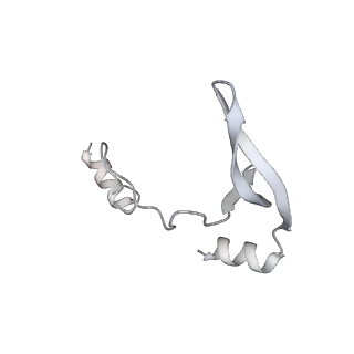 43327_8vkq_CE_v1-0
CW Flagellar Switch Complex - FliF, FliG, FliM, and FliN forming the C-ring from Salmonella