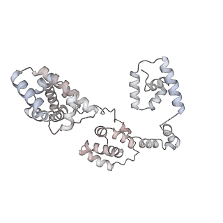 43327_8vkq_CF_v1-0
CW Flagellar Switch Complex - FliF, FliG, FliM, and FliN forming the C-ring from Salmonella