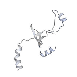 43327_8vkq_CG_v1-0
CW Flagellar Switch Complex - FliF, FliG, FliM, and FliN forming the C-ring from Salmonella