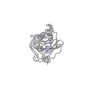 43327_8vkq_C_v1-0
CW Flagellar Switch Complex - FliF, FliG, FliM, and FliN forming the C-ring from Salmonella