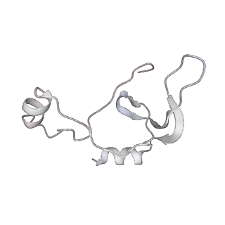 43327_8vkq_DA_v1-0
CW Flagellar Switch Complex - FliF, FliG, FliM, and FliN forming the C-ring from Salmonella