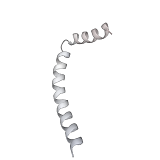 43327_8vkq_DB_v1-0
CW Flagellar Switch Complex - FliF, FliG, FliM, and FliN forming the C-ring from Salmonella