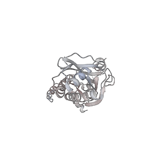 43327_8vkq_DC_v1-0
CW Flagellar Switch Complex - FliF, FliG, FliM, and FliN forming the C-ring from Salmonella