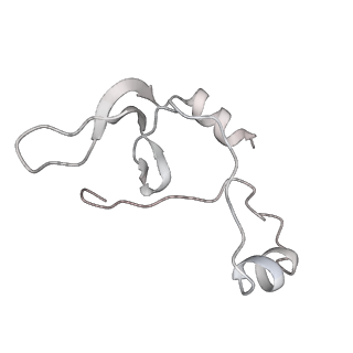 43327_8vkq_DD_v1-0
CW Flagellar Switch Complex - FliF, FliG, FliM, and FliN forming the C-ring from Salmonella