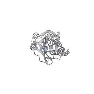 43327_8vkq_DF_v1-0
CW Flagellar Switch Complex - FliF, FliG, FliM, and FliN forming the C-ring from Salmonella