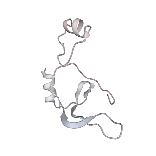 43327_8vkq_DG_v1-0
CW Flagellar Switch Complex - FliF, FliG, FliM, and FliN forming the C-ring from Salmonella