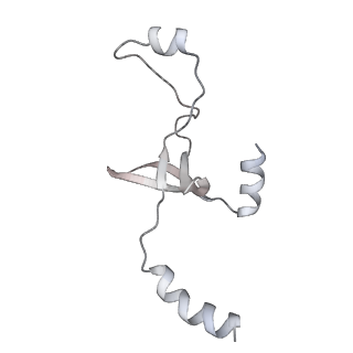 43327_8vkq_D_v1-0
CW Flagellar Switch Complex - FliF, FliG, FliM, and FliN forming the C-ring from Salmonella