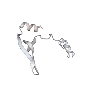 43327_8vkq_EA_v1-0
CW Flagellar Switch Complex - FliF, FliG, FliM, and FliN forming the C-ring from Salmonella