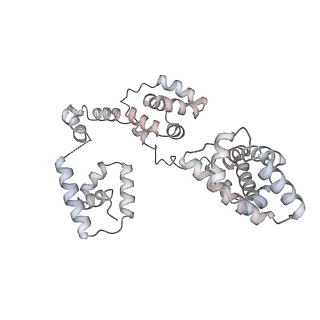 43327_8vkq_EB_v1-0
CW Flagellar Switch Complex - FliF, FliG, FliM, and FliN forming the C-ring from Salmonella