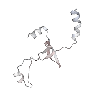 43327_8vkq_EC_v1-0
CW Flagellar Switch Complex - FliF, FliG, FliM, and FliN forming the C-ring from Salmonella