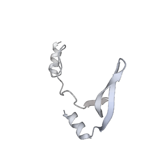 43327_8vkq_ED_v1-0
CW Flagellar Switch Complex - FliF, FliG, FliM, and FliN forming the C-ring from Salmonella