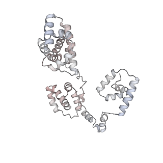 43327_8vkq_EE_v1-0
CW Flagellar Switch Complex - FliF, FliG, FliM, and FliN forming the C-ring from Salmonella