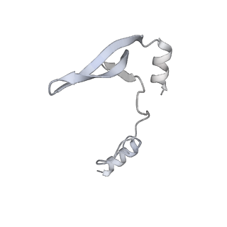 43327_8vkq_EG_v1-0
CW Flagellar Switch Complex - FliF, FliG, FliM, and FliN forming the C-ring from Salmonella