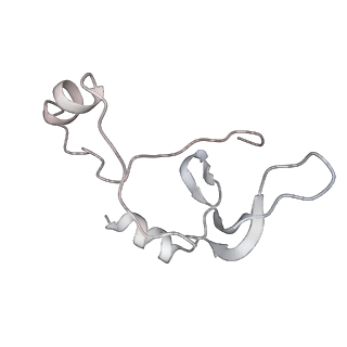 43327_8vkq_E_v1-0
CW Flagellar Switch Complex - FliF, FliG, FliM, and FliN forming the C-ring from Salmonella