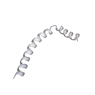 43327_8vkq_FA_v1-0
CW Flagellar Switch Complex - FliF, FliG, FliM, and FliN forming the C-ring from Salmonella