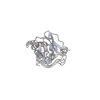 43327_8vkq_FB_v1-0
CW Flagellar Switch Complex - FliF, FliG, FliM, and FliN forming the C-ring from Salmonella