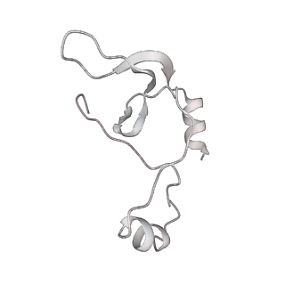 43327_8vkq_FC_v1-0
CW Flagellar Switch Complex - FliF, FliG, FliM, and FliN forming the C-ring from Salmonella