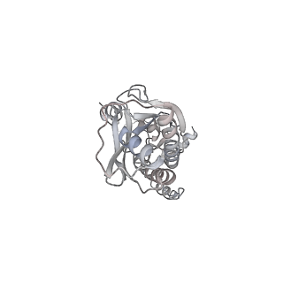 43327_8vkq_FE_v1-0
CW Flagellar Switch Complex - FliF, FliG, FliM, and FliN forming the C-ring from Salmonella