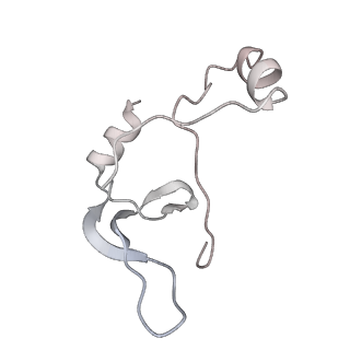 43327_8vkq_FF_v1-0
CW Flagellar Switch Complex - FliF, FliG, FliM, and FliN forming the C-ring from Salmonella