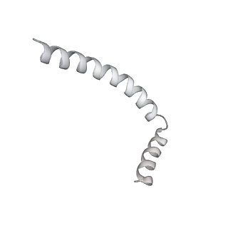 43327_8vkq_FG_v1-0
CW Flagellar Switch Complex - FliF, FliG, FliM, and FliN forming the C-ring from Salmonella