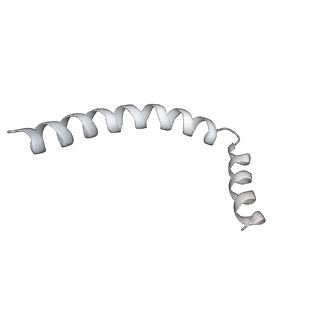 43327_8vkq_F_v1-0
CW Flagellar Switch Complex - FliF, FliG, FliM, and FliN forming the C-ring from Salmonella