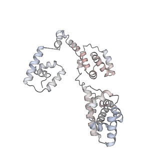 43327_8vkq_GA_v1-0
CW Flagellar Switch Complex - FliF, FliG, FliM, and FliN forming the C-ring from Salmonella