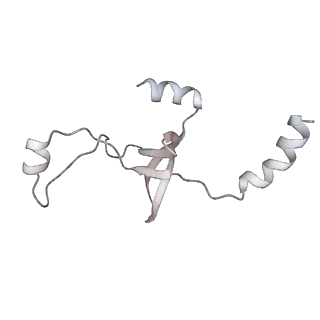 43327_8vkq_GB_v1-0
CW Flagellar Switch Complex - FliF, FliG, FliM, and FliN forming the C-ring from Salmonella