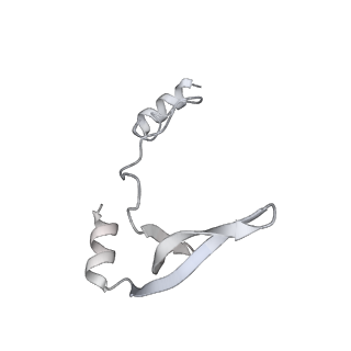 43327_8vkq_GC_v1-0
CW Flagellar Switch Complex - FliF, FliG, FliM, and FliN forming the C-ring from Salmonella