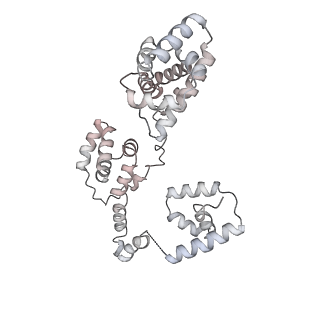 43327_8vkq_GD_v1-0
CW Flagellar Switch Complex - FliF, FliG, FliM, and FliN forming the C-ring from Salmonella