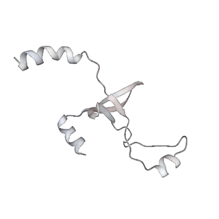 43327_8vkq_GE_v1-0
CW Flagellar Switch Complex - FliF, FliG, FliM, and FliN forming the C-ring from Salmonella