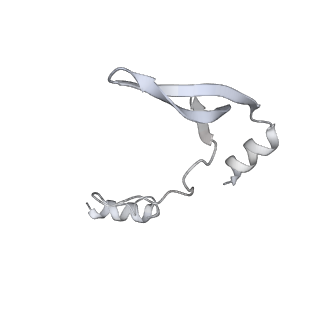 43327_8vkq_GF_v1-0
CW Flagellar Switch Complex - FliF, FliG, FliM, and FliN forming the C-ring from Salmonella