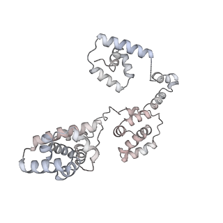 43327_8vkq_GG_v1-0
CW Flagellar Switch Complex - FliF, FliG, FliM, and FliN forming the C-ring from Salmonella