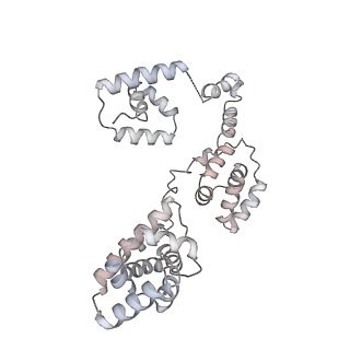 43327_8vkq_G_v1-0
CW Flagellar Switch Complex - FliF, FliG, FliM, and FliN forming the C-ring from Salmonella