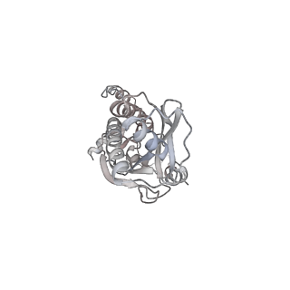 43327_8vkq_HA_v1-0
CW Flagellar Switch Complex - FliF, FliG, FliM, and FliN forming the C-ring from Salmonella