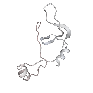 43327_8vkq_HB_v1-0
CW Flagellar Switch Complex - FliF, FliG, FliM, and FliN forming the C-ring from Salmonella